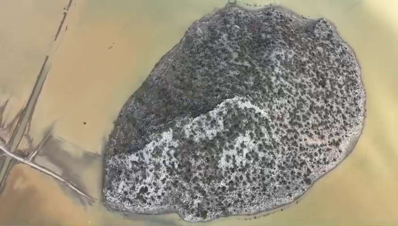 Konya’da şaşırtan görüntü! Gören Meke Gölü sandı 2